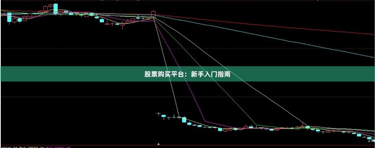 股票购买平台:新手入门指南