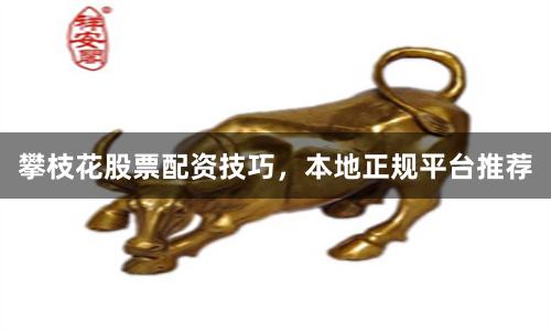 攀枝花股票配资技巧，本地正规平台推荐